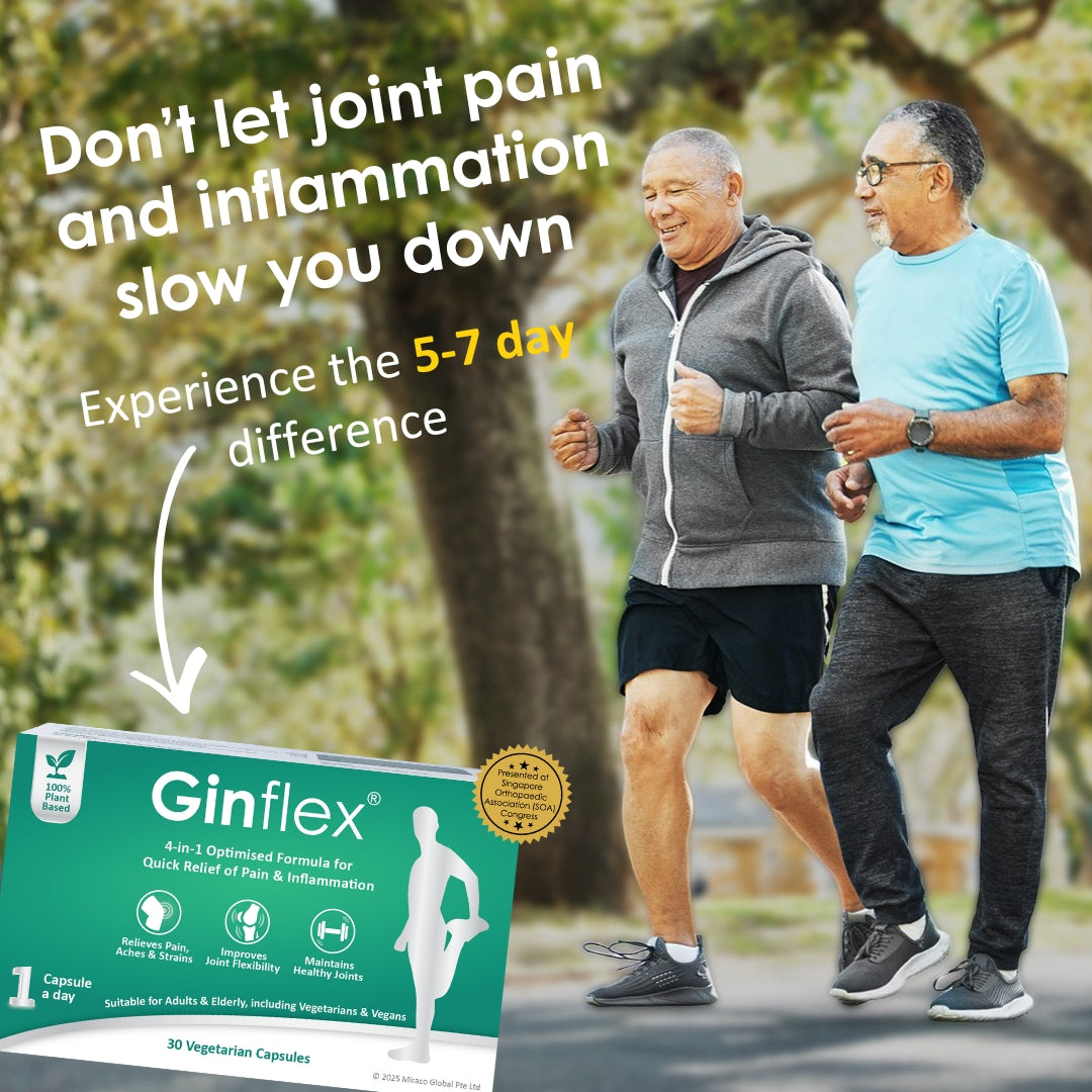 [Bundle of 2] Ginflex® 30 capsules - FREE 10 capsules