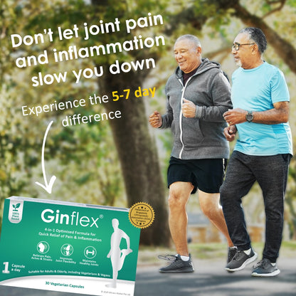 [Bundle of 2] Ginflex® 30 capsules - FREE 10 capsules